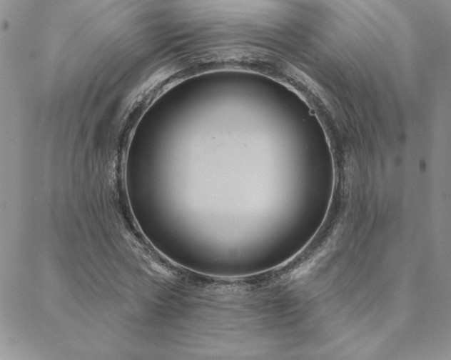 X0000088590778200705251148