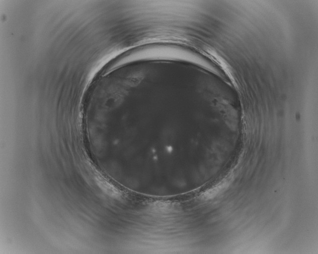 X0000088590779200705251148