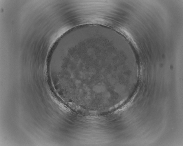 X0000088590780200705251148