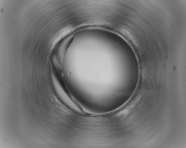 X0000088590781200705251148