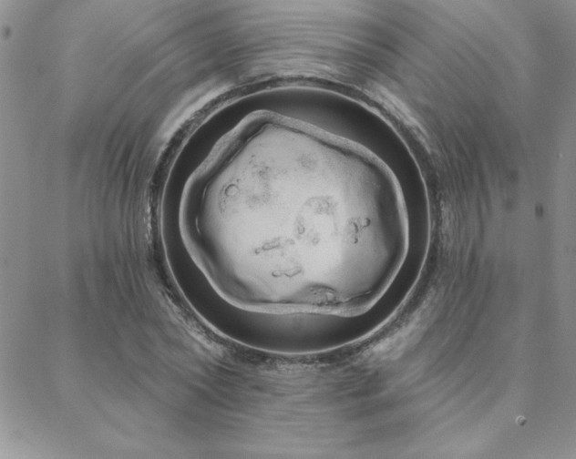 X0000088590782200705251148