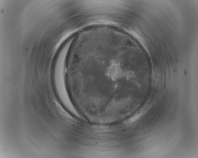 X0000088590783200705251148