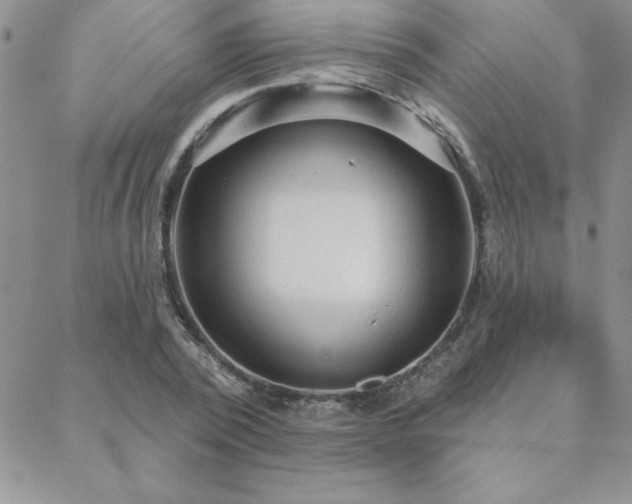 X0000088590784200705251148