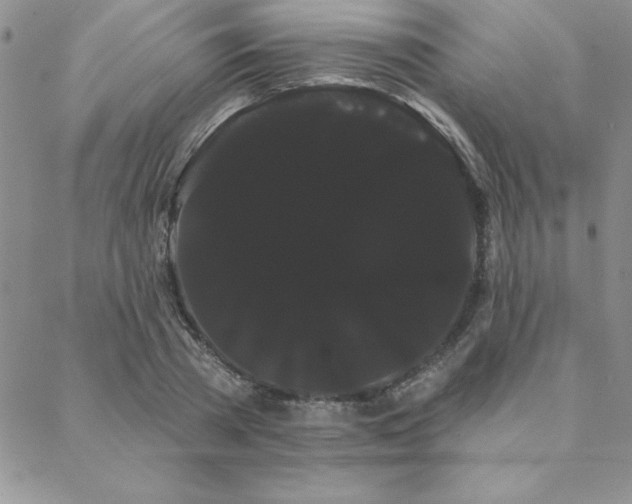 X0000088590785200705251148