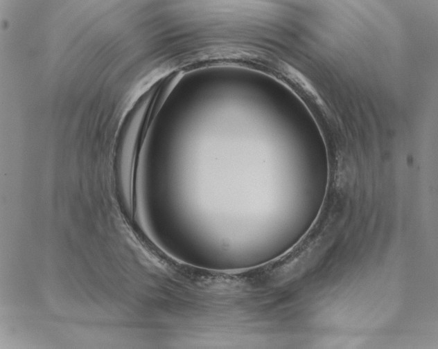 X0000088590786200705251148