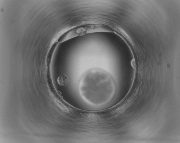 X0000088590787200705251148