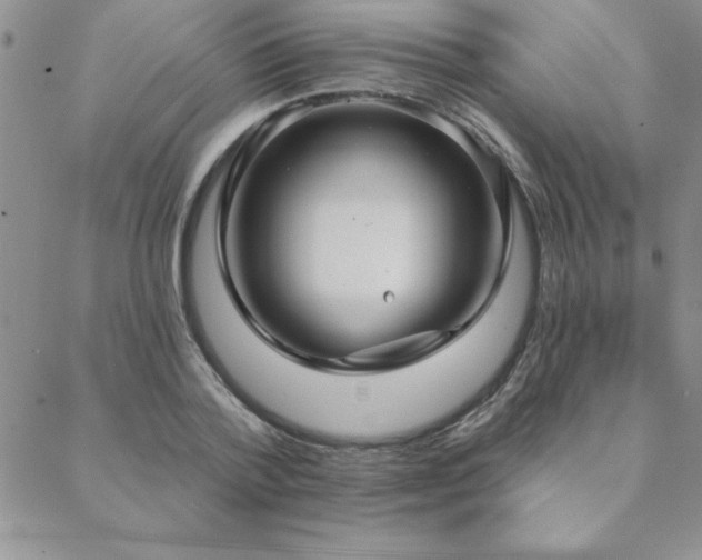 X0000088590788200705251148