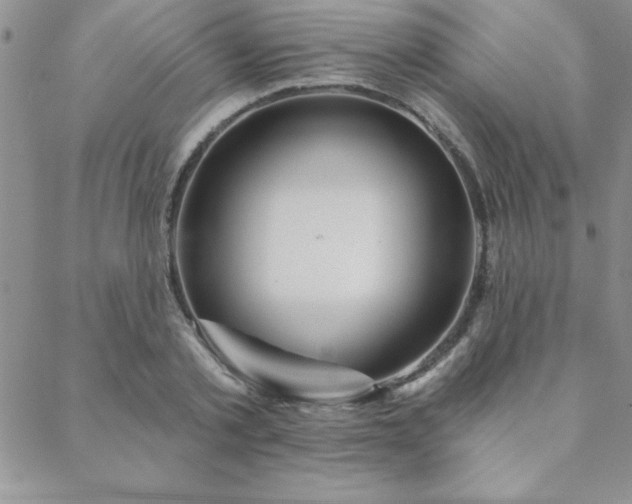 X0000088590789200705251148