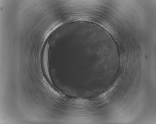 X0000088590790200705251148