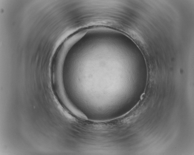 X0000088590792200705251148