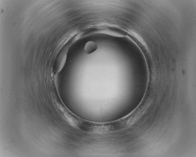 X0000088590793200705251148