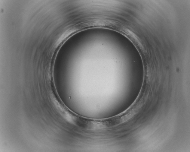 X0000088590794200705251148