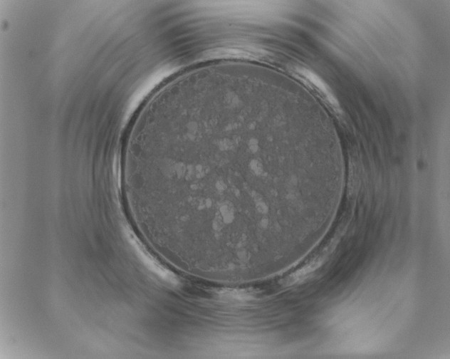 X0000088590796200705251147