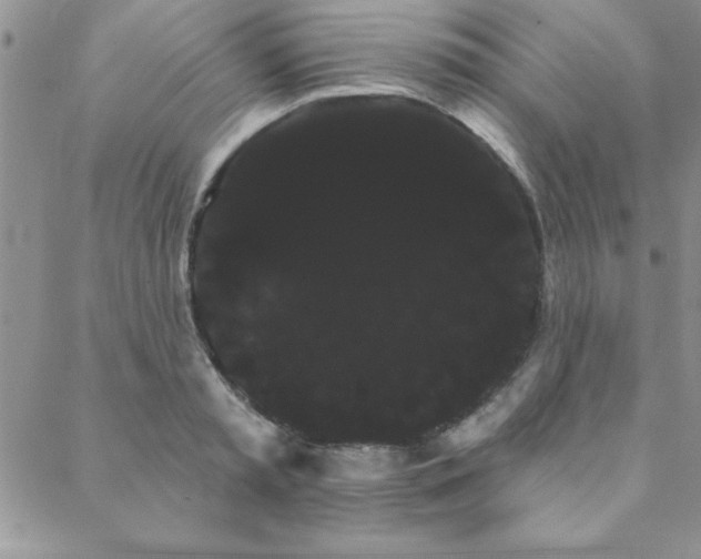 X0000088590797200705251147