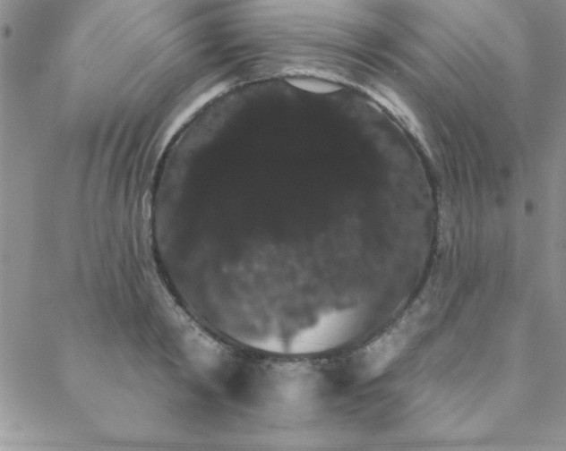 X0000088590798200705251147