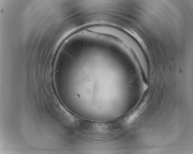 X0000088590799200705251147