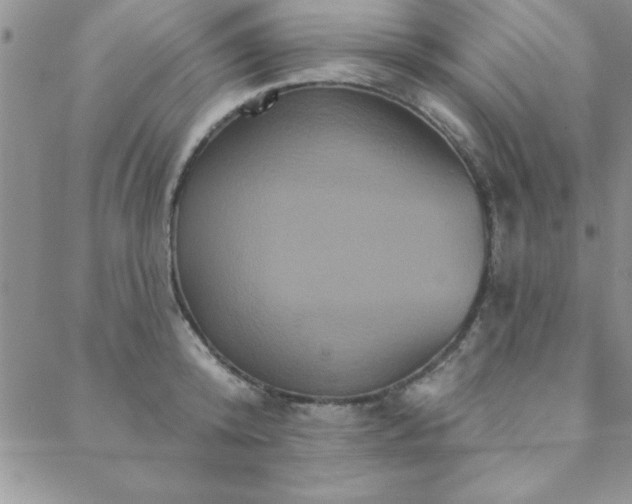 X0000088590800200705251147