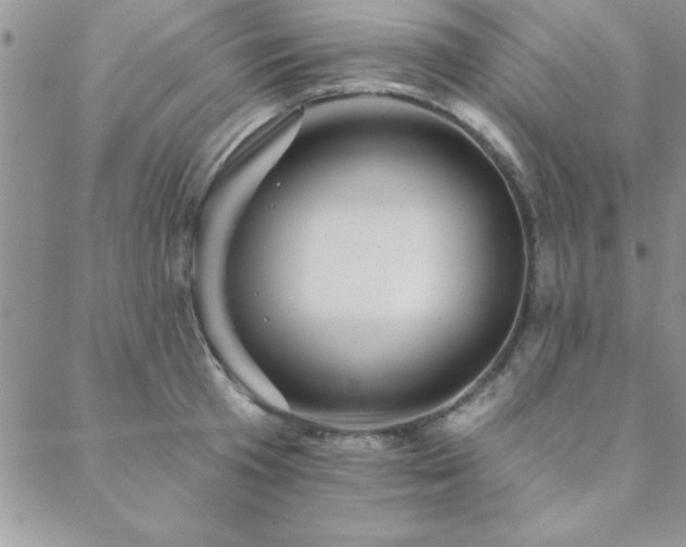 X0000088590801200705251147