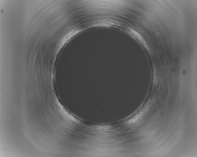 X0000088590802200705251147