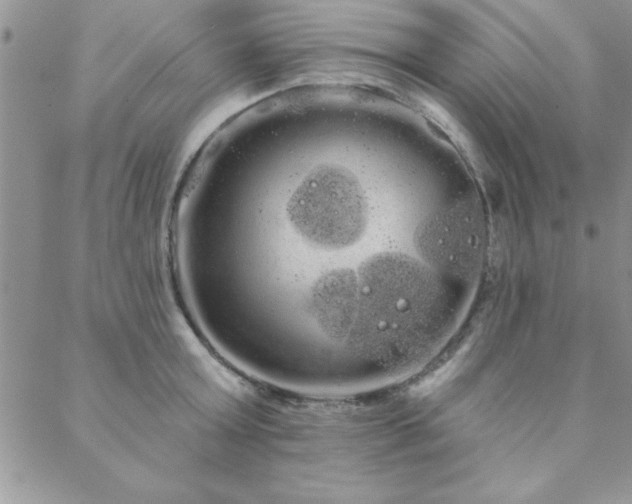 X0000088590803200705251147