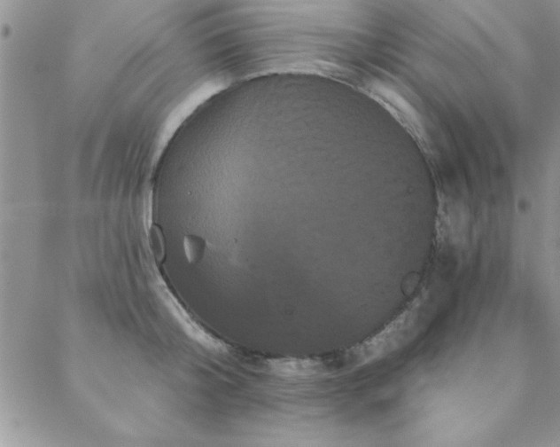 X0000088590804200705251147