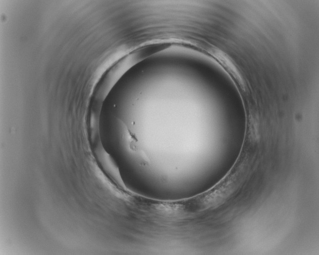 X0000088590805200705251147