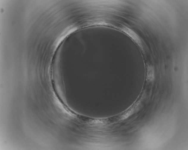 X0000088590806200705251147