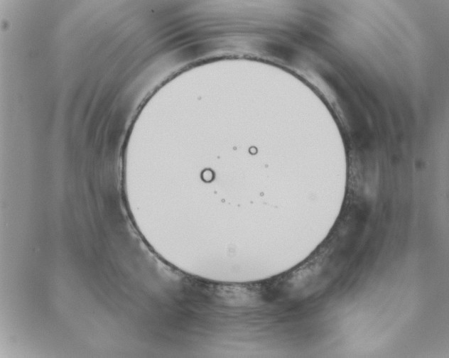 X0000088590807200705251147