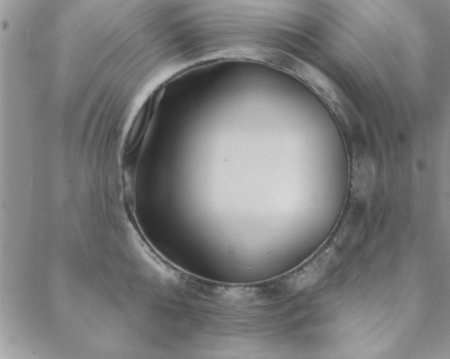 X0000088590808200705251147