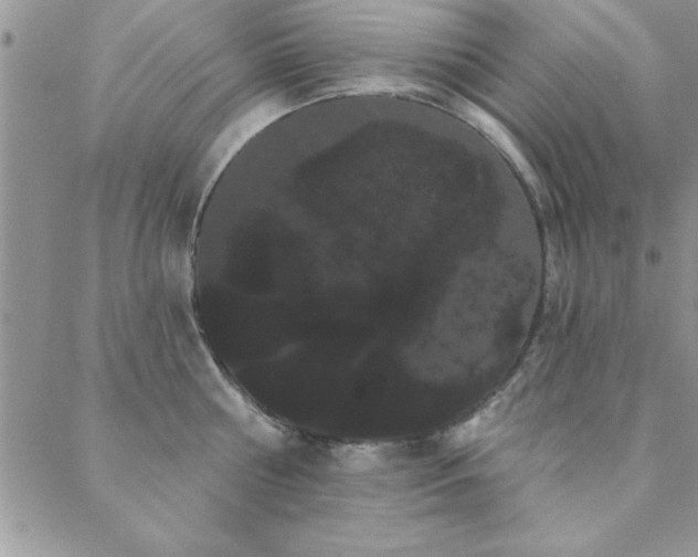 X0000088590810200705251147