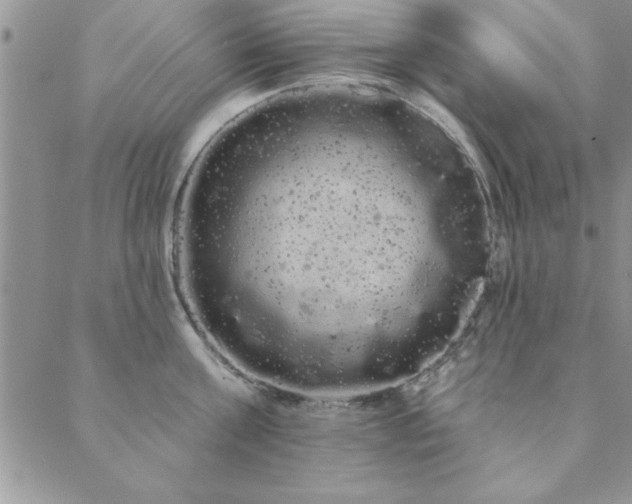 X0000088590811200705251147