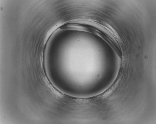 X0000088590812200705251147