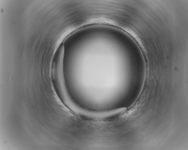 X0000088590815200705251147