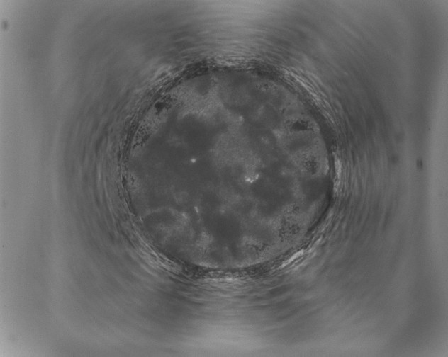 X0000088590817200705251146