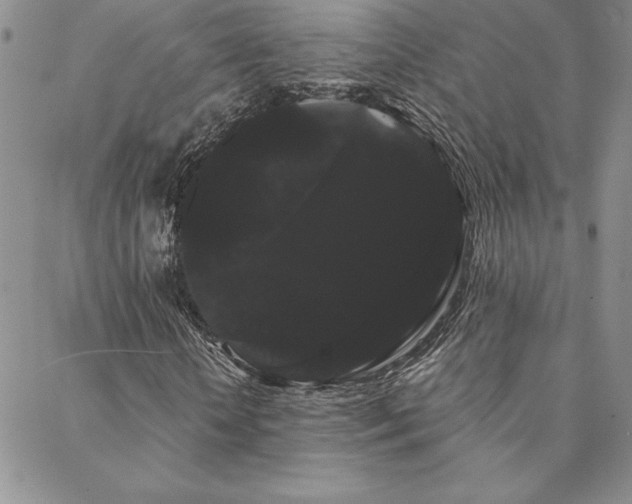 X0000088590818200705251146