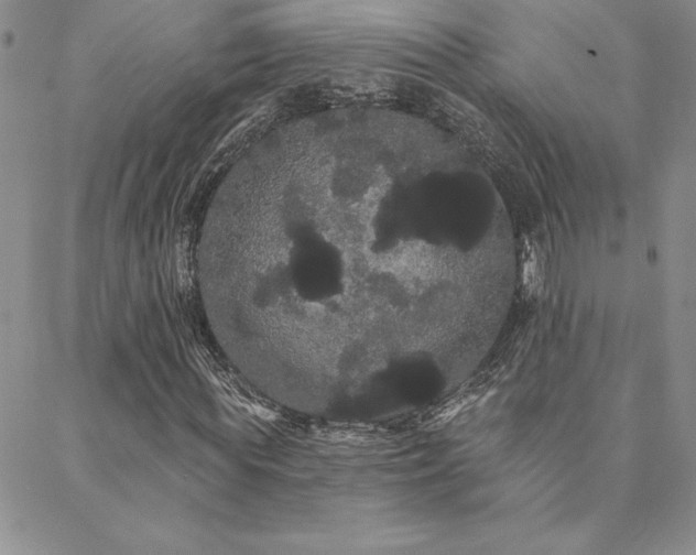 X0000088590819200705251146