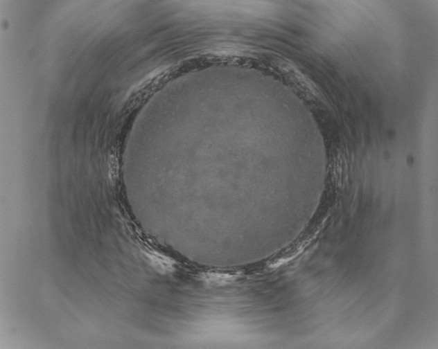 X0000088590821200705251146