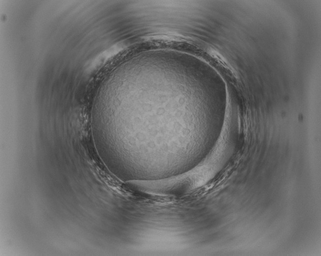 X0000088590822200705251146