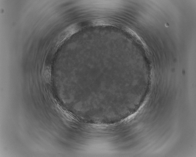 X0000088590825200705251147