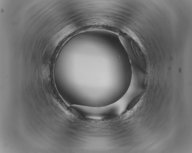 X0000088590826200705251147