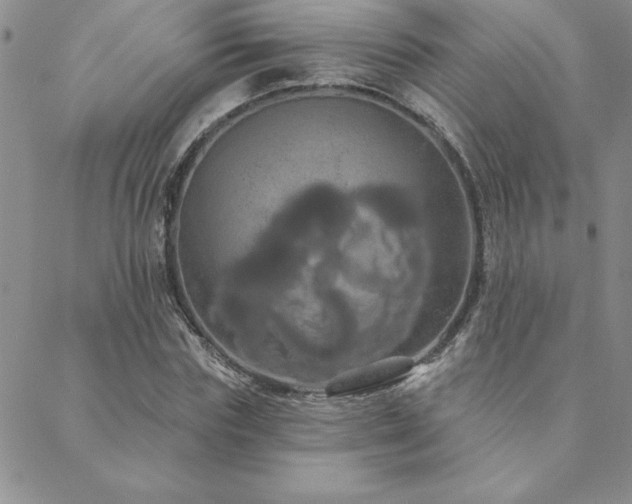 X0000088590827200705251147