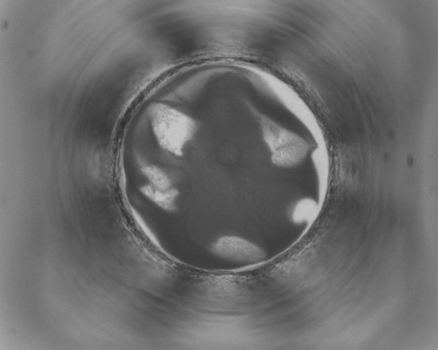 X0000088590828200705251147