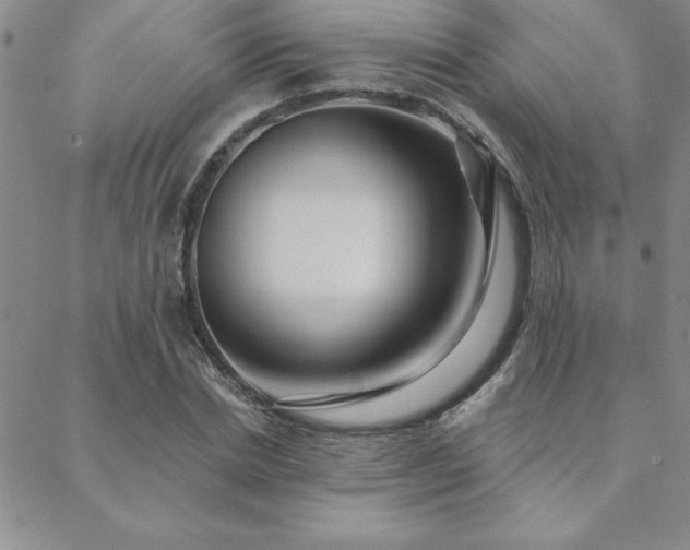 X0000088590830200705251147