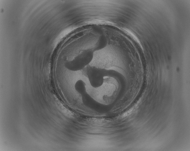 X0000088590831200705251147