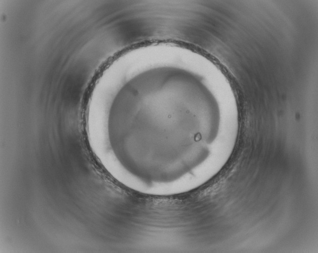 X0000088590832200705251147