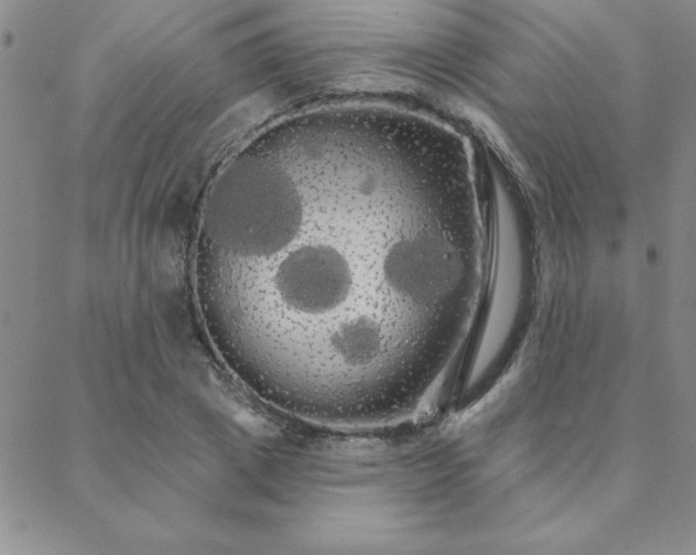 X0000088590833200705251147