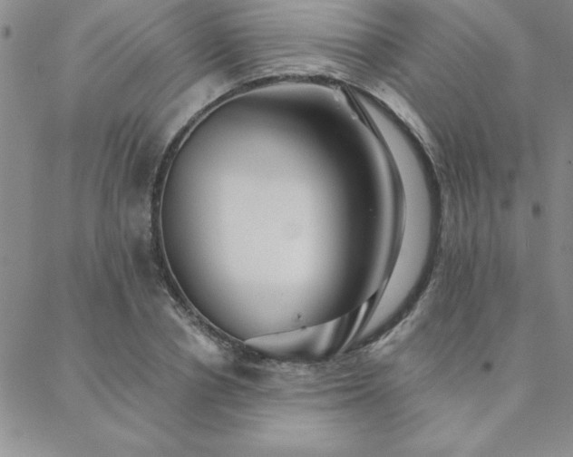 X0000088590834200705251147