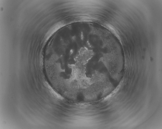 X0000088590835200705251147