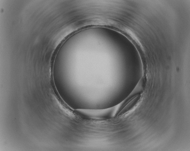 X0000088590837200705251147