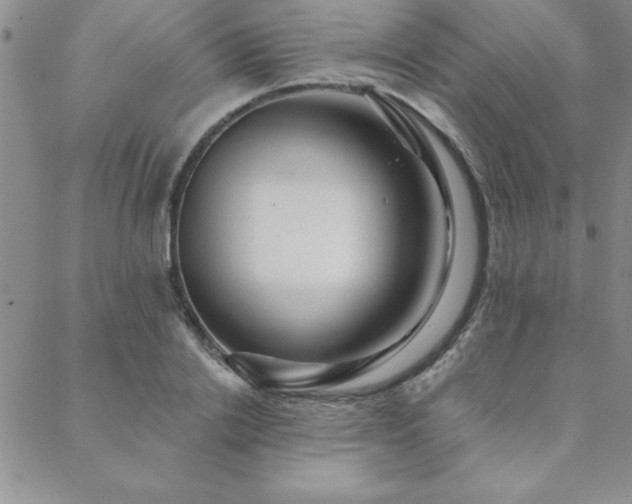 X0000088590838200705251147